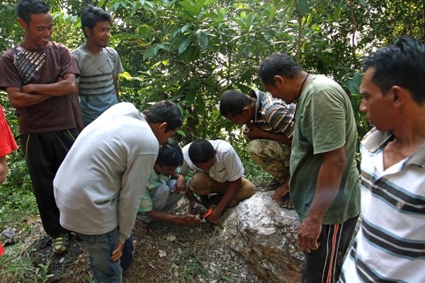 Warga memehat bongkahan batu Mata Biru di Gunung Geurutee, lamno, Aceh Jaya. Masyarakan Lamno kembali dihebohkan dengan penemuan batu jenis baru di kawasan tersebut. 